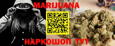 индика Заводоуковск