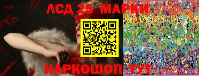 МДПВ Жуковский